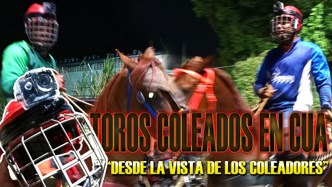 TOROS COLEADOS EN CUA (DESDE LA VISTA DE LOS COLEADORES)