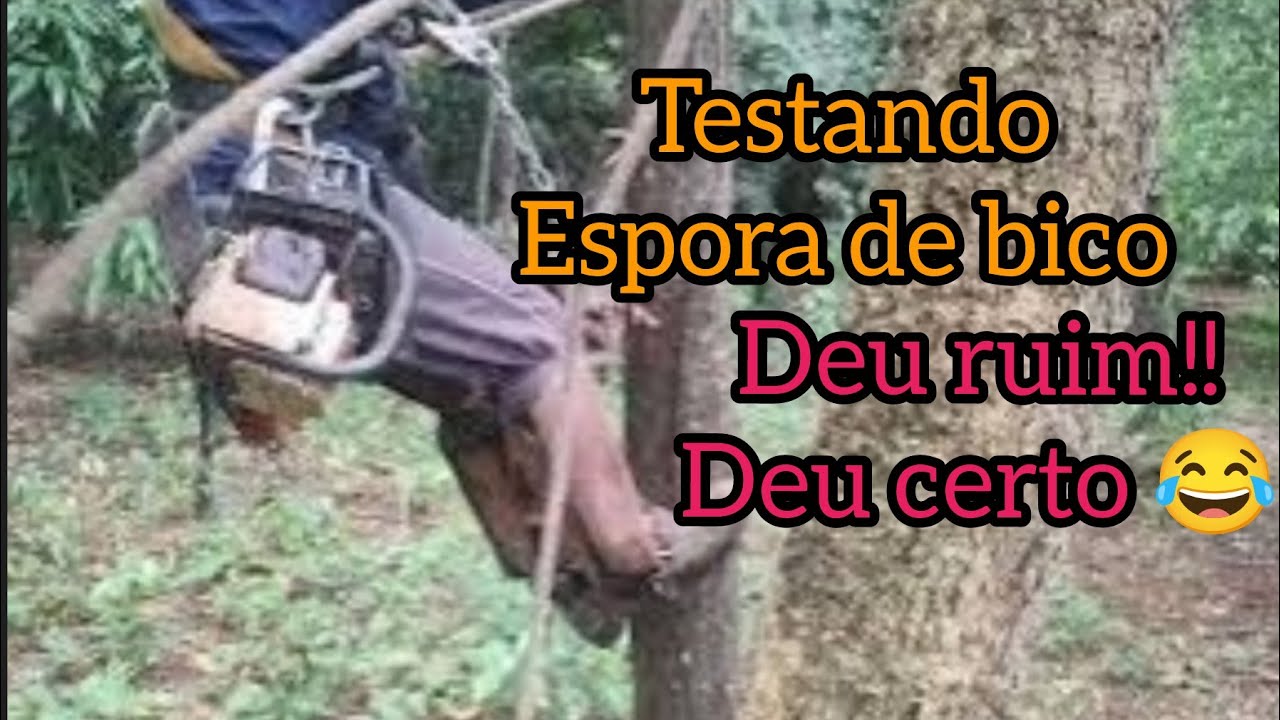 Como subir em arvore com espora de bico #testando kit para subir em arvores @oraçãocomwellinson