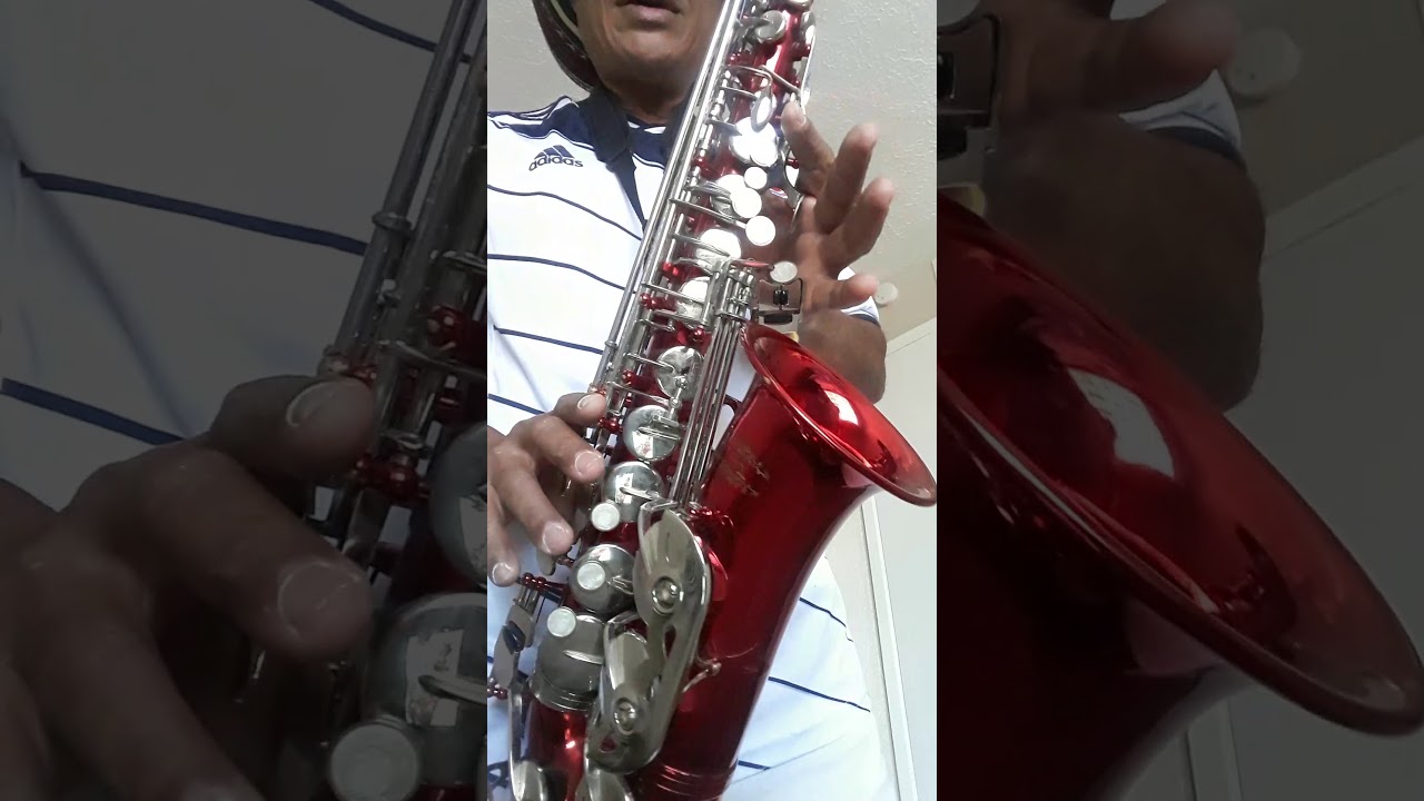 Tutorial Colegiala - Rodolfo Aicardi