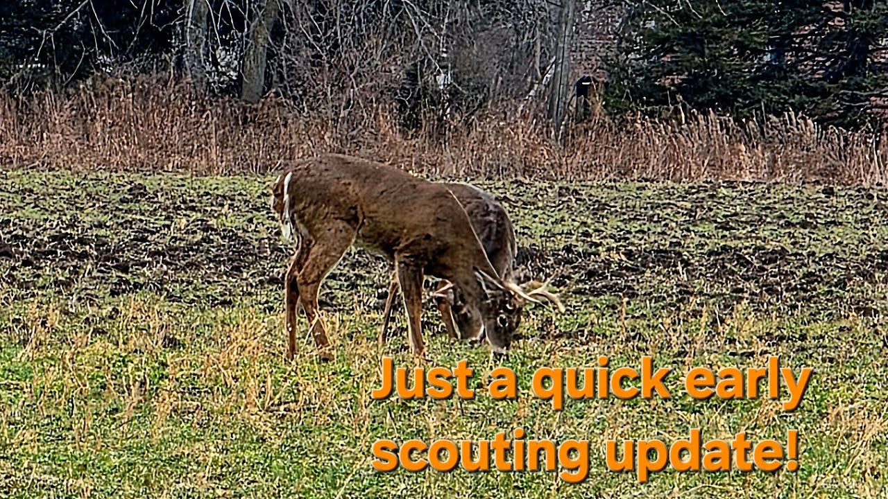 Just a short kinda raw early scouting vid!