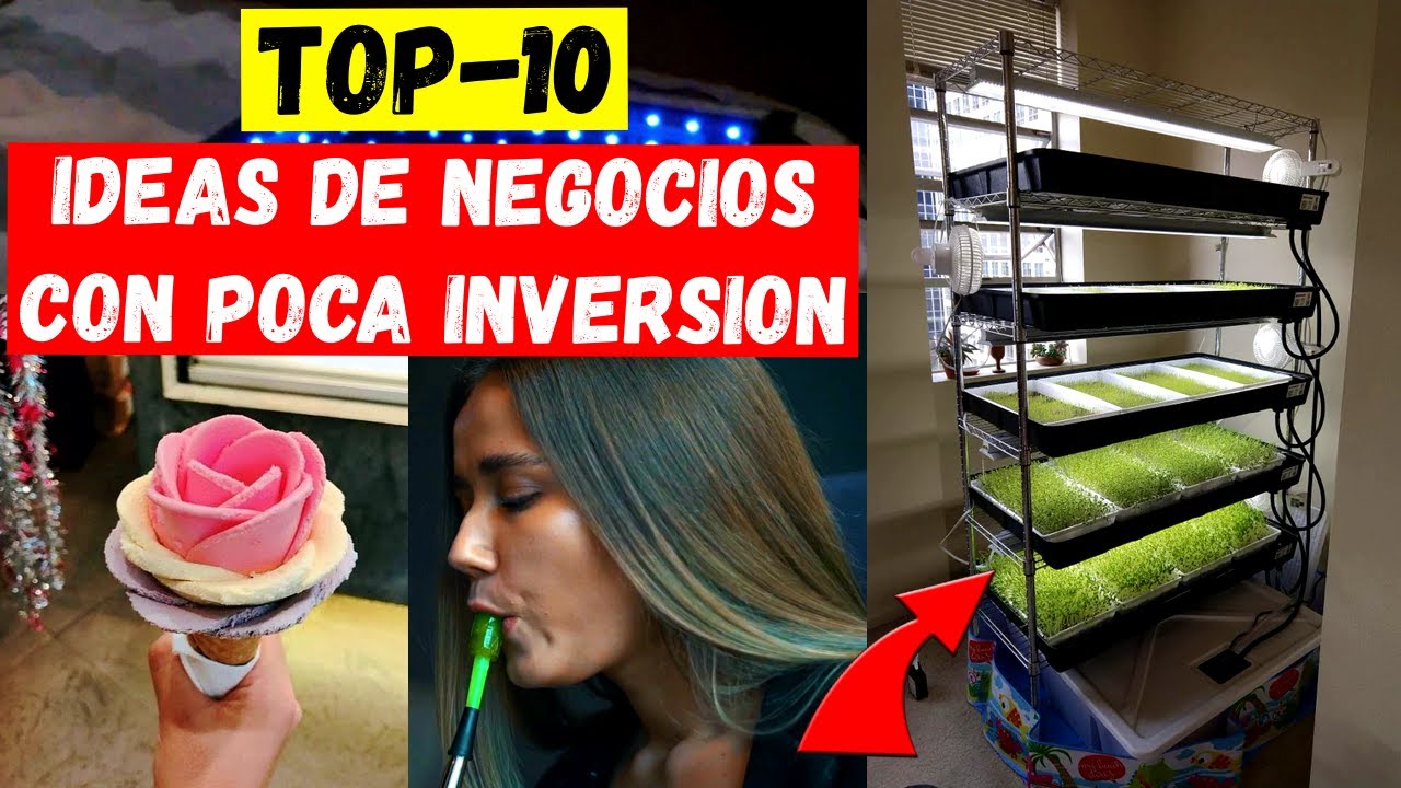 Ideas de negocios con poco dinero. Negocios con poca inversion