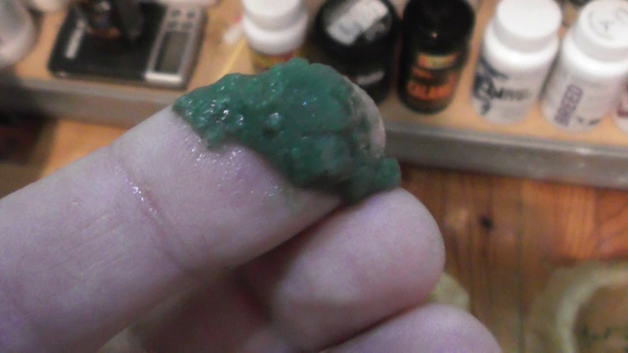 Pokarm dla krewetek Sulawesi -żywa spirulina- jak ją pozyskać z wody?