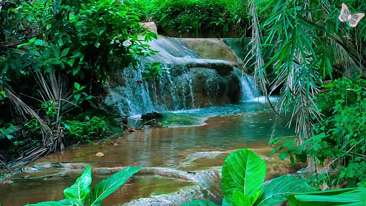 Relaxing Music For Stress Relief, Anxiety and Depressive States🌲 Heal Mind, Body and Soul Relax 10