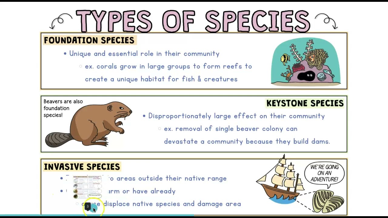 Ecology Notes Bio 1.1