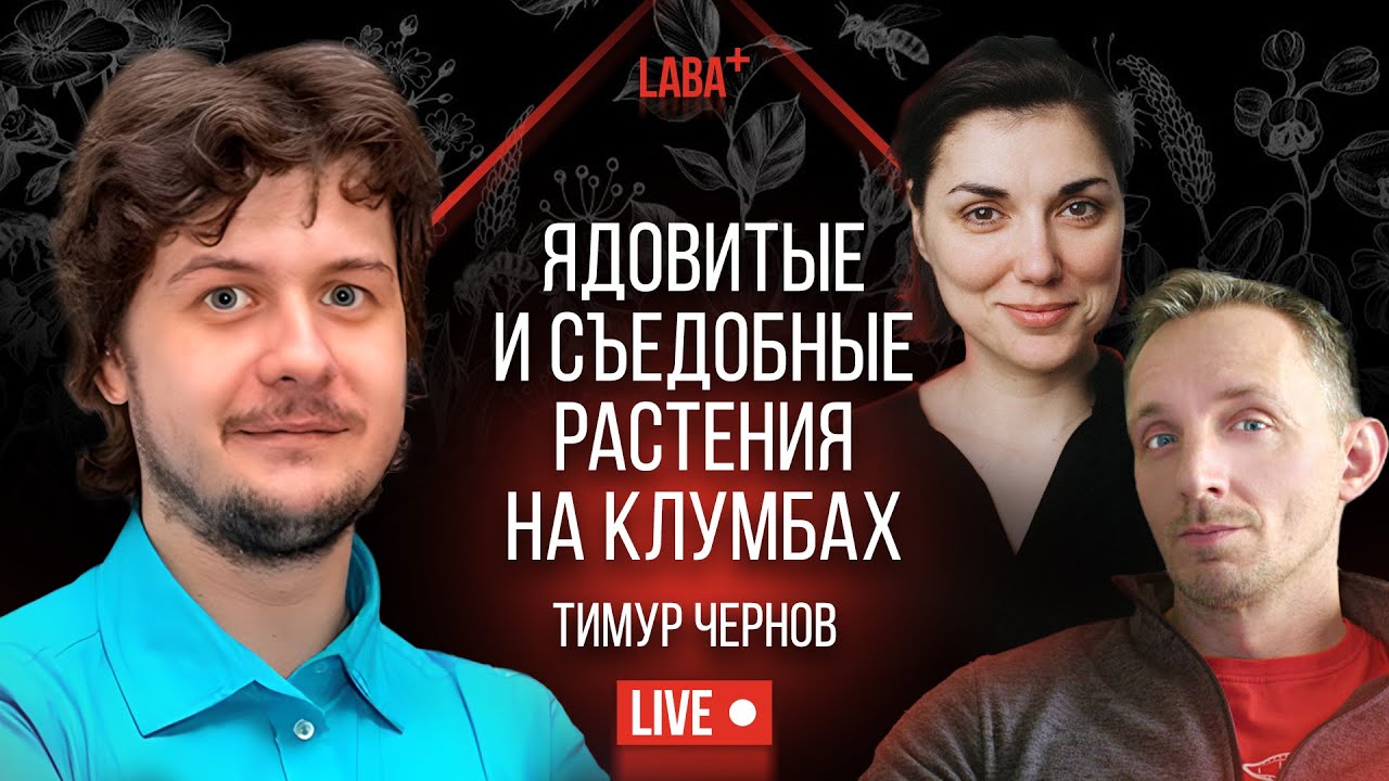 Ядовитые и съедобные растения на клумбах. Тимур Чернов