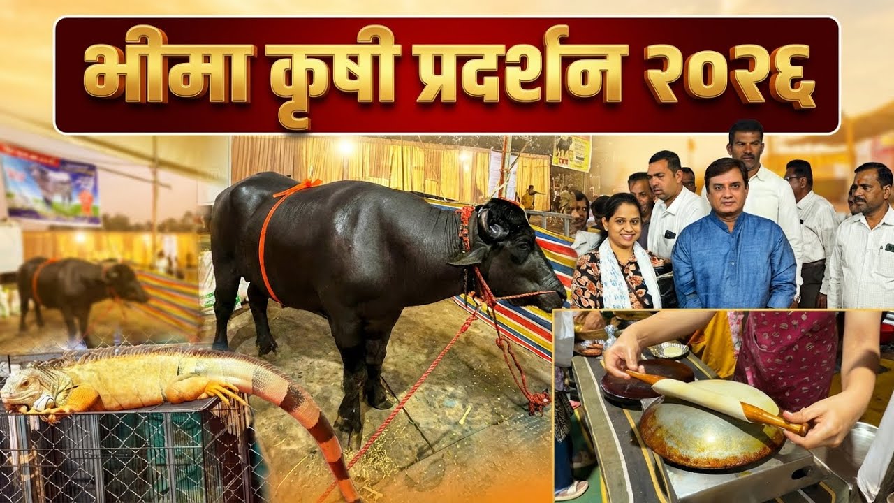Bhima krushi pradarshan Kolhapur 2026 | भीमा कृषी प्रदर्शन कोल्हापूर २०२६ | Agricultural expo & food