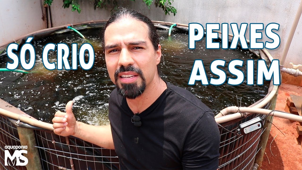 Melhor custo benef&iacute;cio para criar peixes
