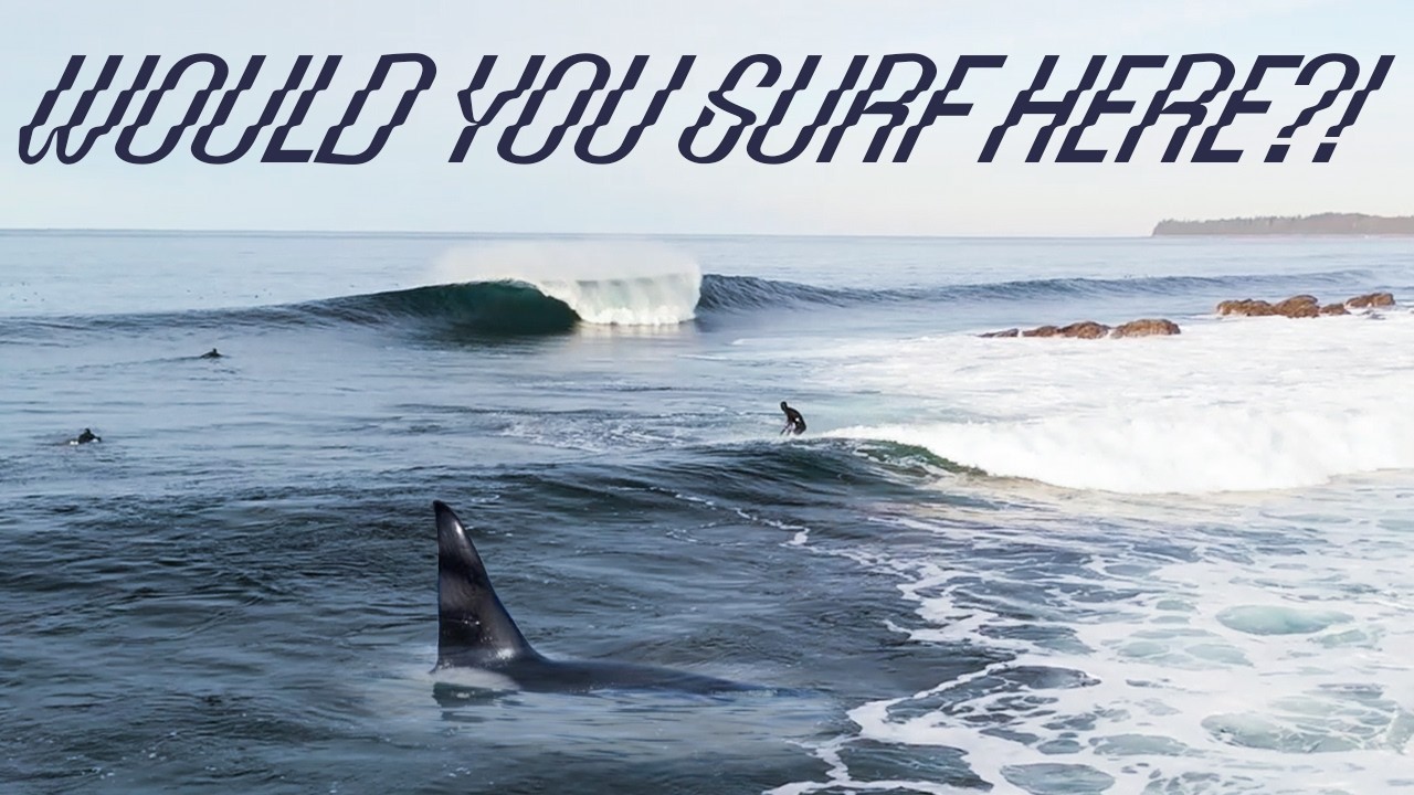 Would you surf here?! Pete Devries & Killer Whales part 2 of 3
