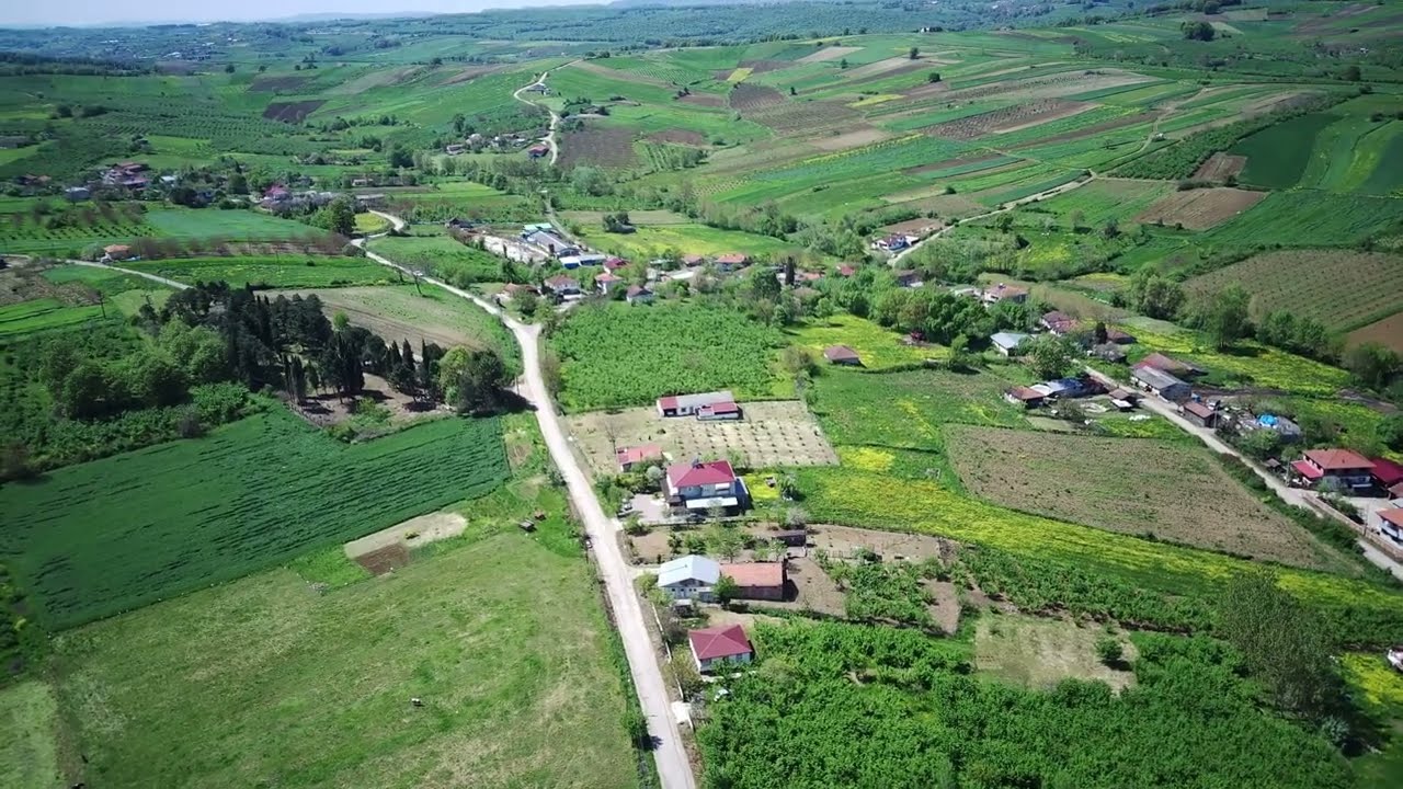 Sakarya / Kaynarca / Kayacık