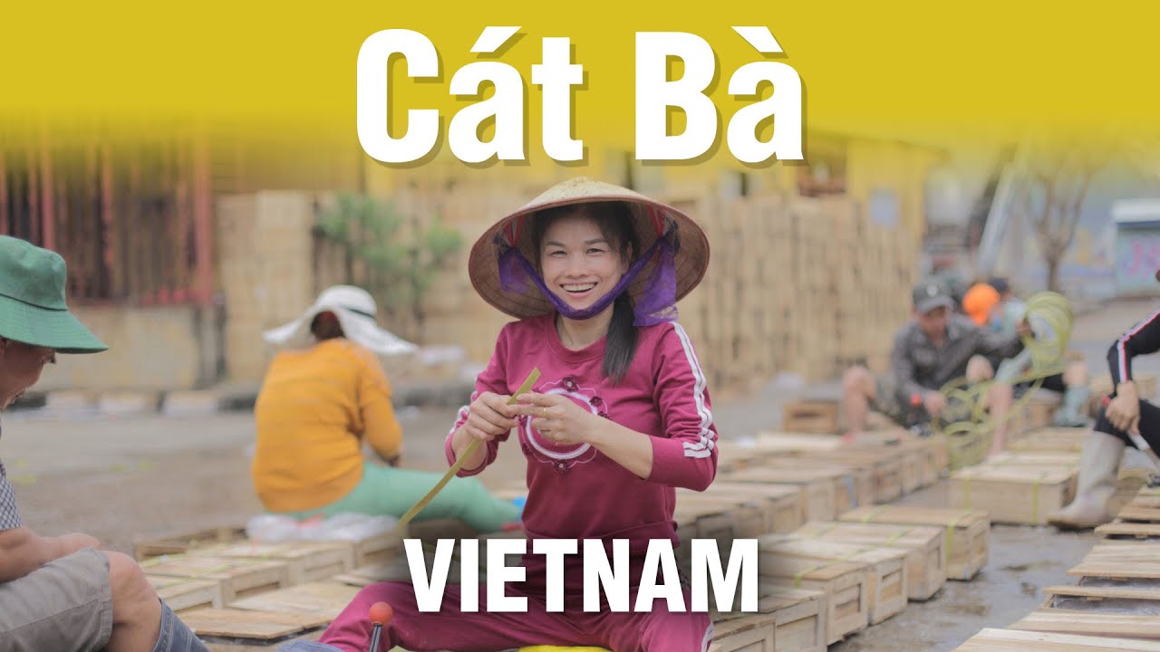 Best scooter tour! Cát Bà Island, Vietnam | April 2019
