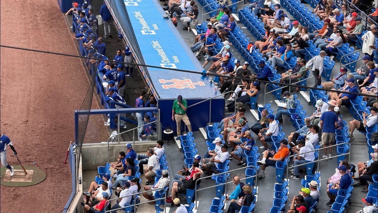 Nicaragua vs Mets continuación 