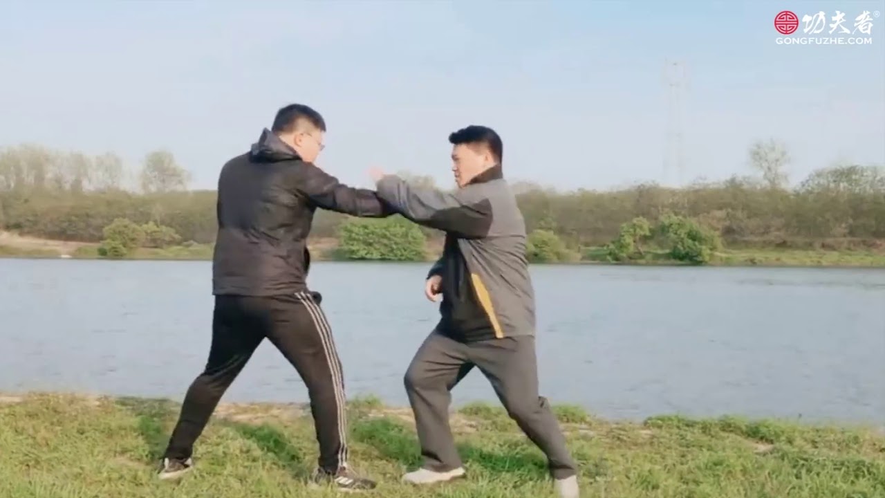 白鹤亮翅 搂膝拗步 用法