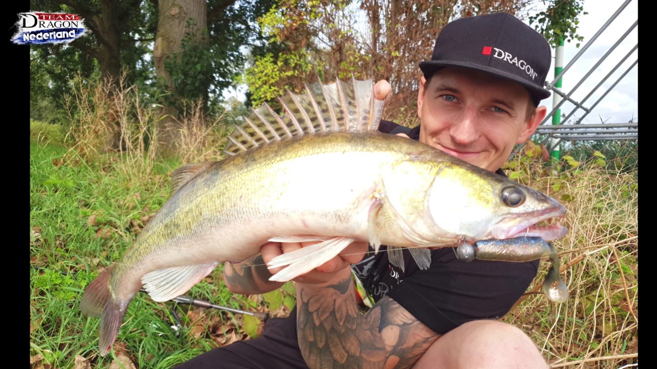 Dragon Jerky 21cm. Nice pike from river.