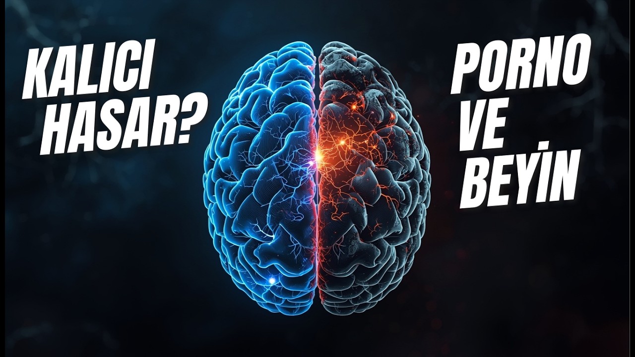Porno Beyni Nasıl &Ccedil;&uuml;r&uuml;t&uuml;r? (Geri d&ouml;n&uuml;ş&uuml; var mı?)