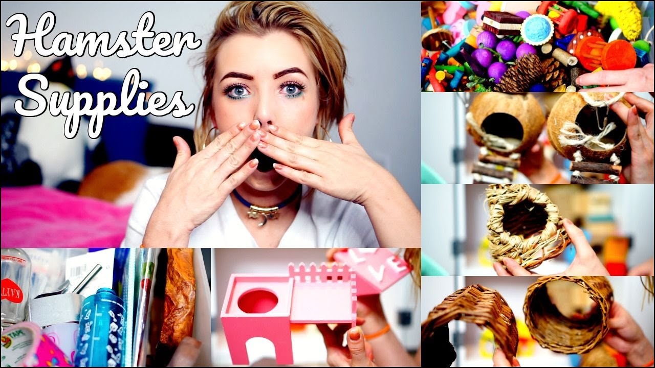 ALL MY PET HAMSTER SUPPLIES!