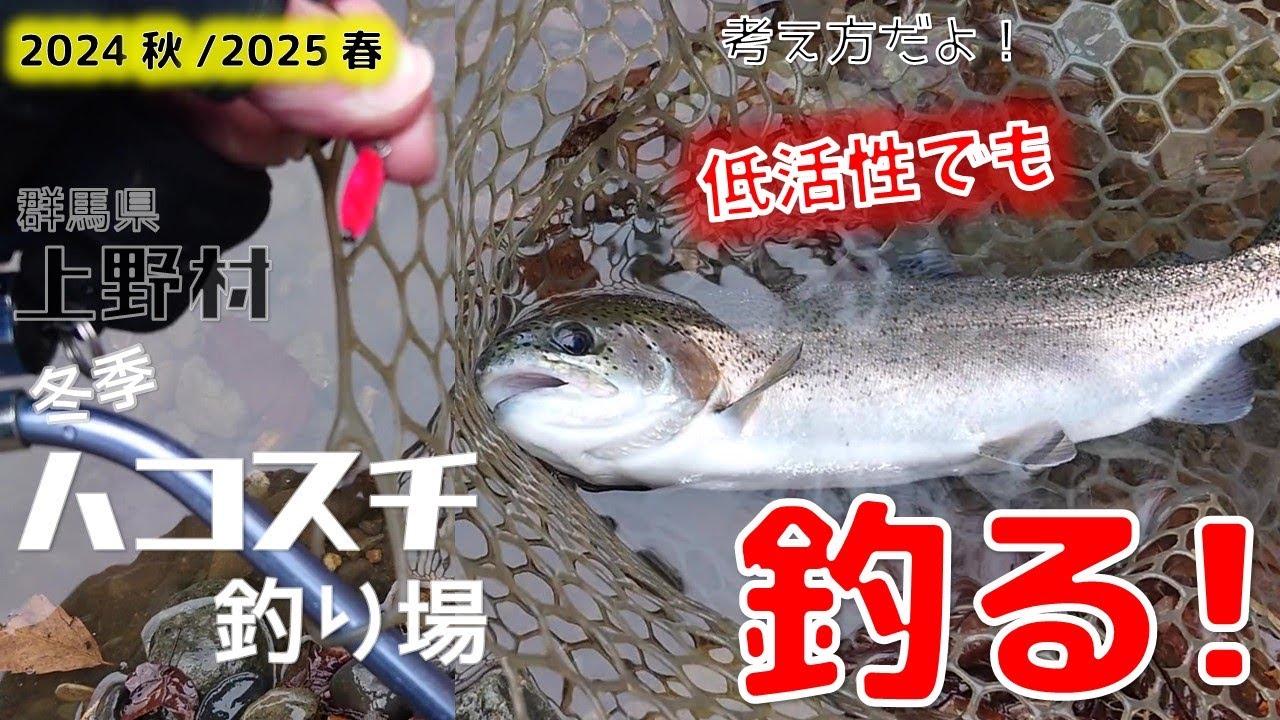 【群馬 上野村冬季ハコスチ釣り場】低活性の釣り方/Hard fishing! I'll teach you how to fish #上野村ハコスチ釣り場 #群馬トラウト釣り
