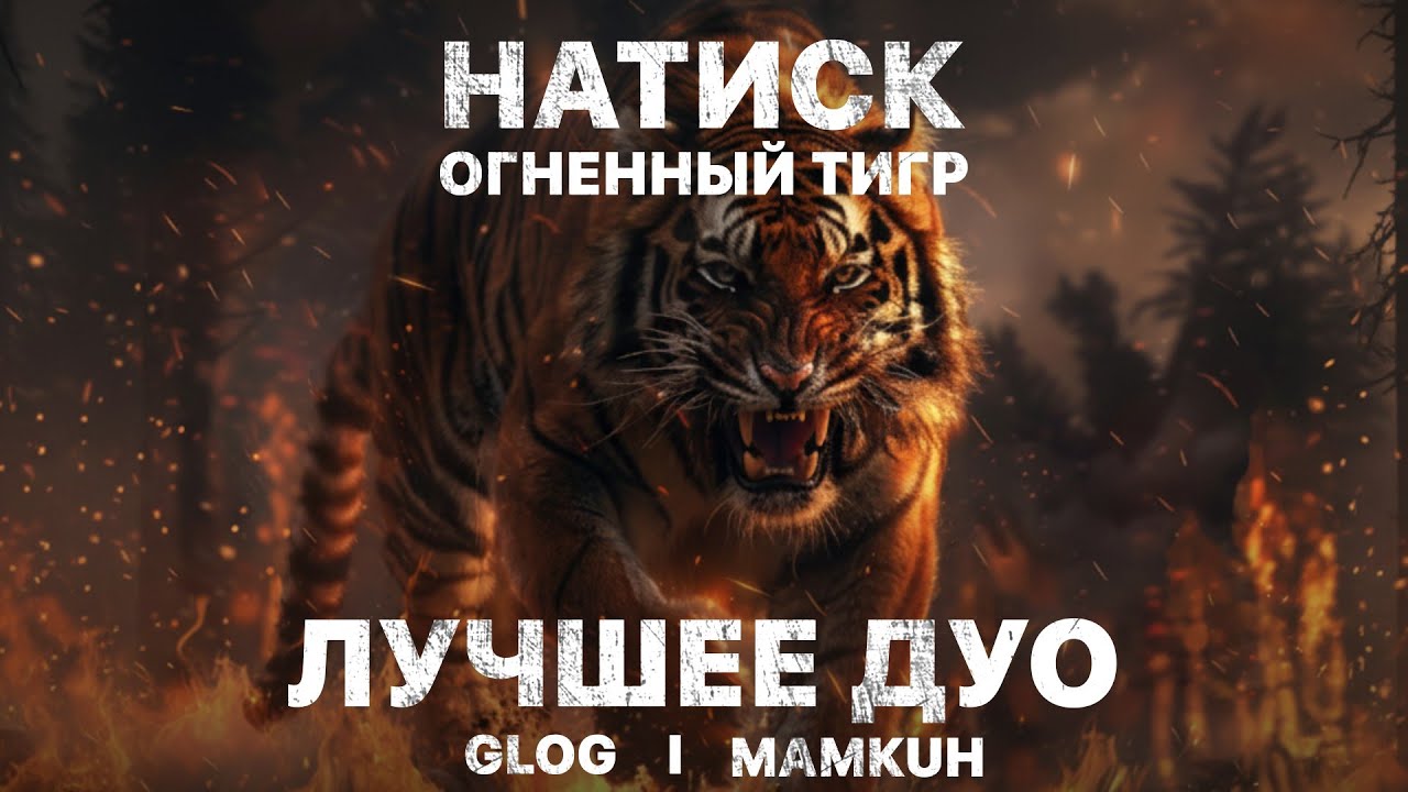 НАТИСК | Огненный Тигр
