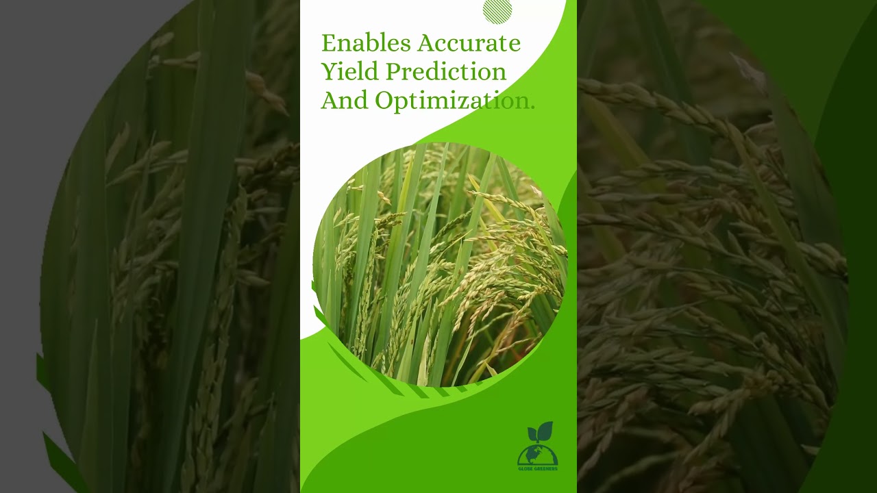 Plantix: An AI based Application which is Revolutionizing Agriculture