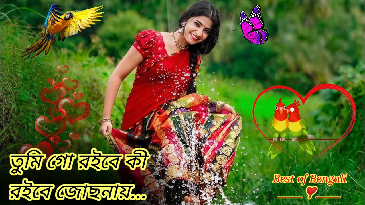 Tumi go roibe ki roibe jochonay |তুমি গো রইবে কী রইবে জোছনায় |Bengali romantic song ❣️