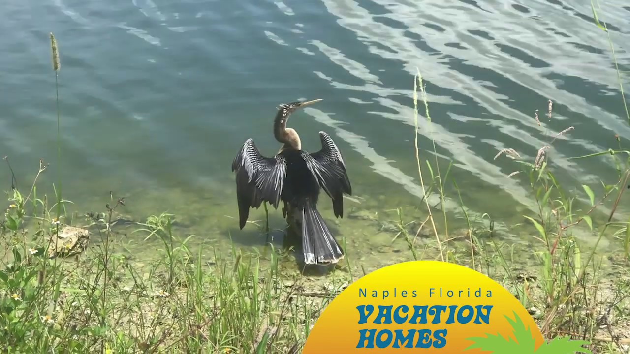 Beautiful Nature in Naples!