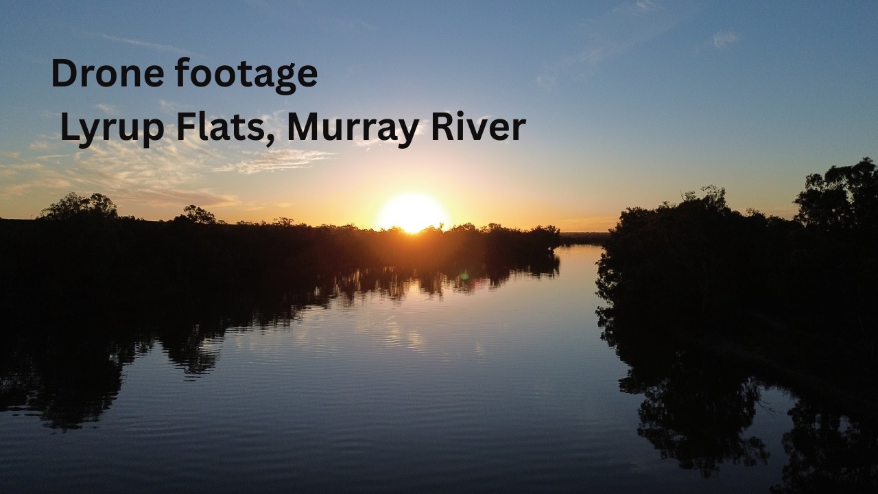 Murray River National Park - Lyrup Flats Campground, South Australia - Drone footage 