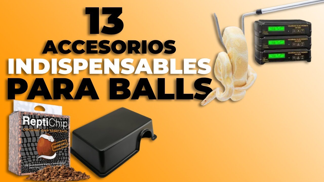 Accesorios para Pitón Regius que no te pueden faltar | AFSAND R.