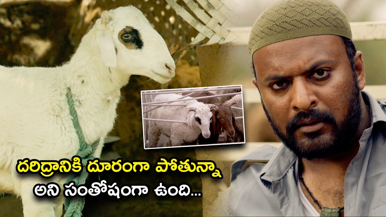 దరిద్రానికి దూరంగా పోతున్నా అని సంతోషంగా ఉంది | Gorre Puranam Telugu Full Movie Scenes | Suhas