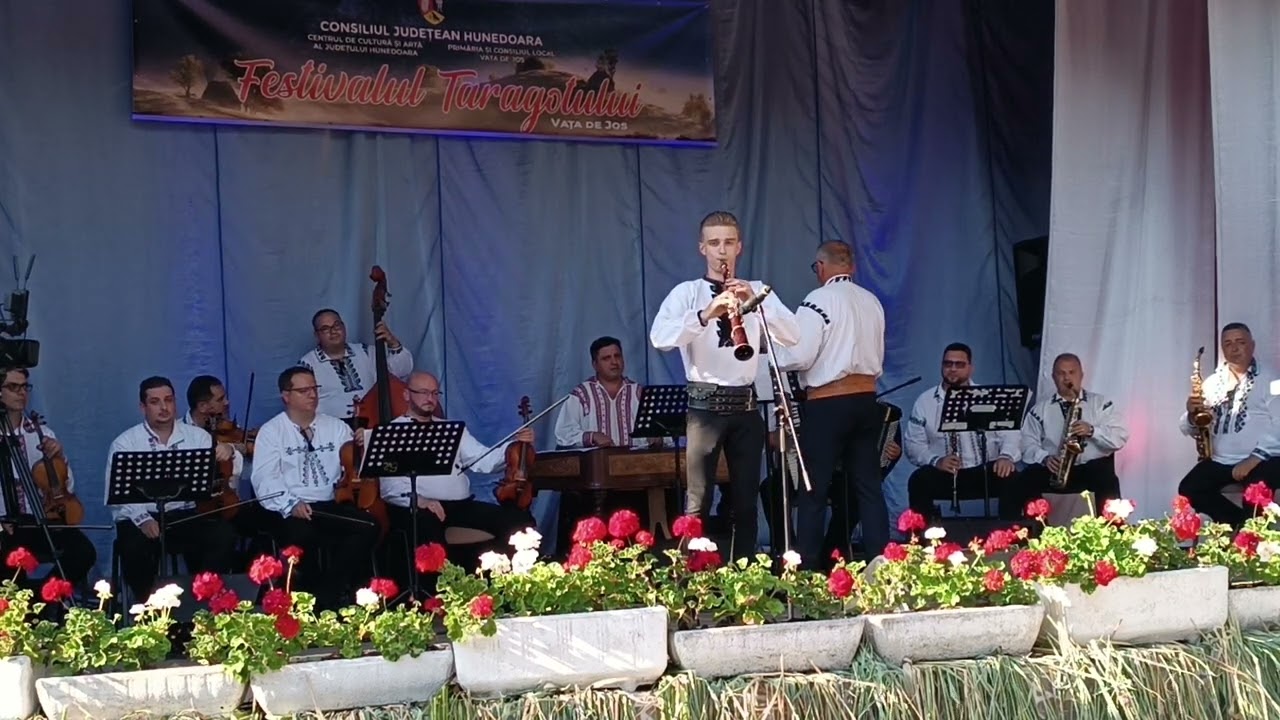 Festivalul taragotului Andrei Haneș