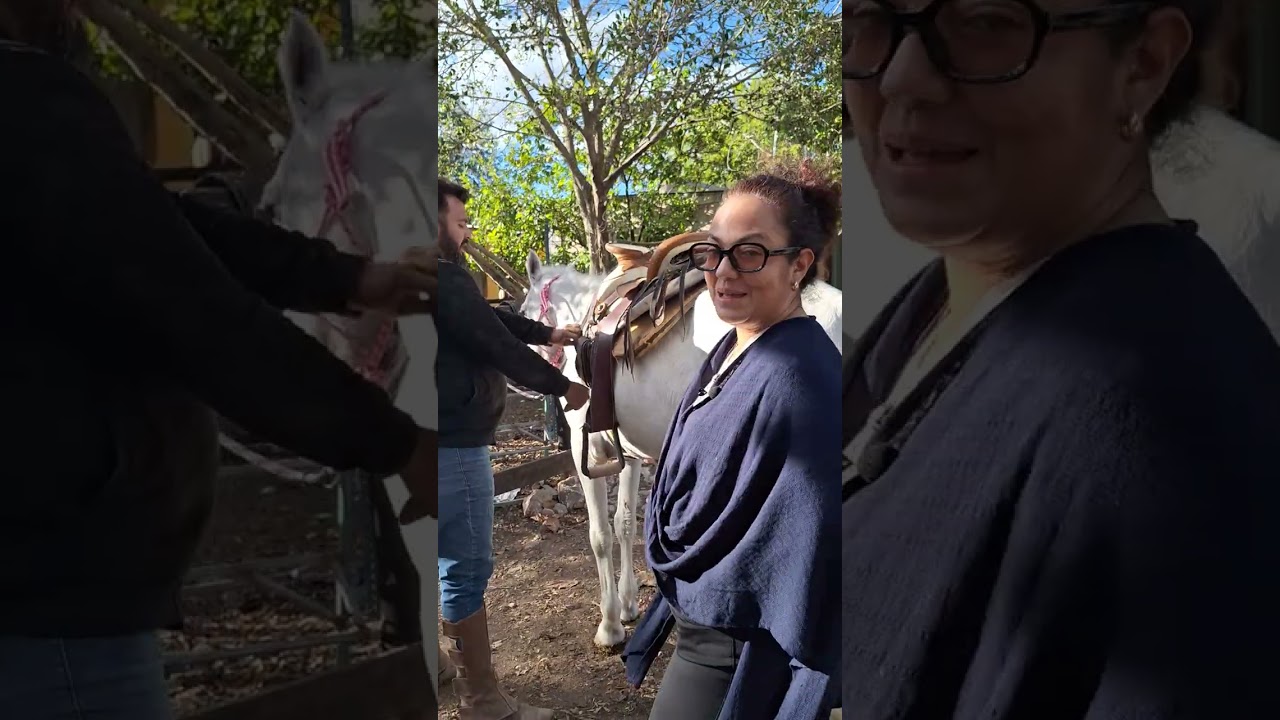 Escuela de Manejo equino Alex OC el mejor lugar para aprender a ser valiente montar a caballo y mas