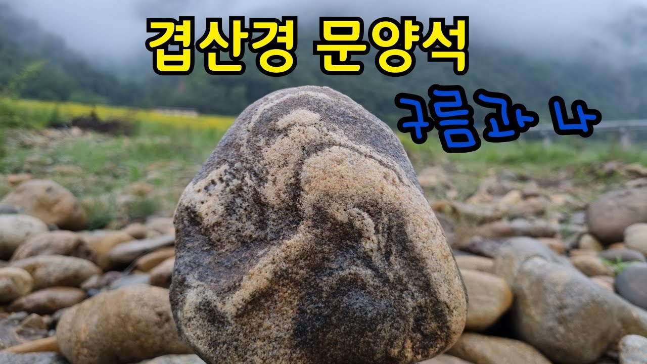 #호피석