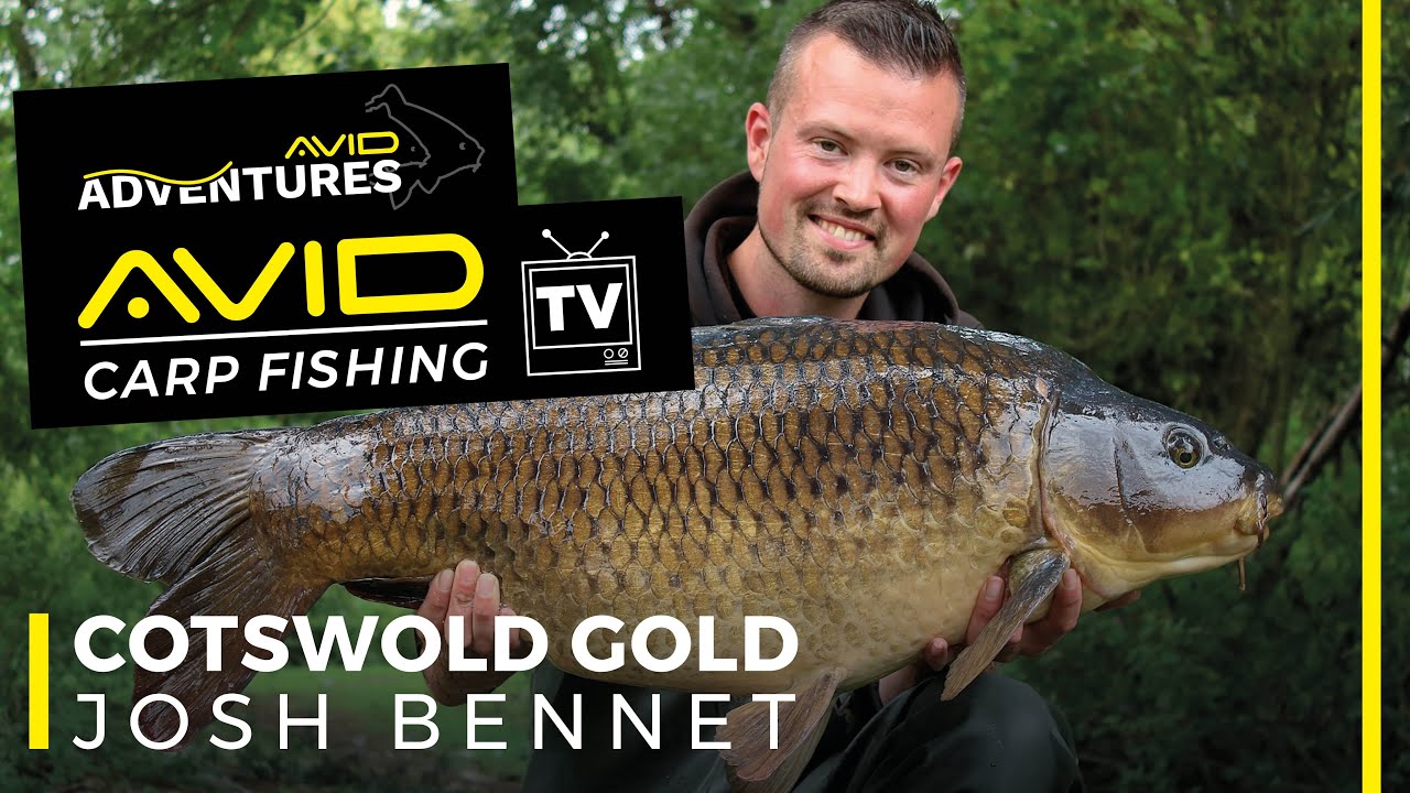 Cotswold Gold | Avid Adventures | Vol.12 | Avid Carp Fishing TV!