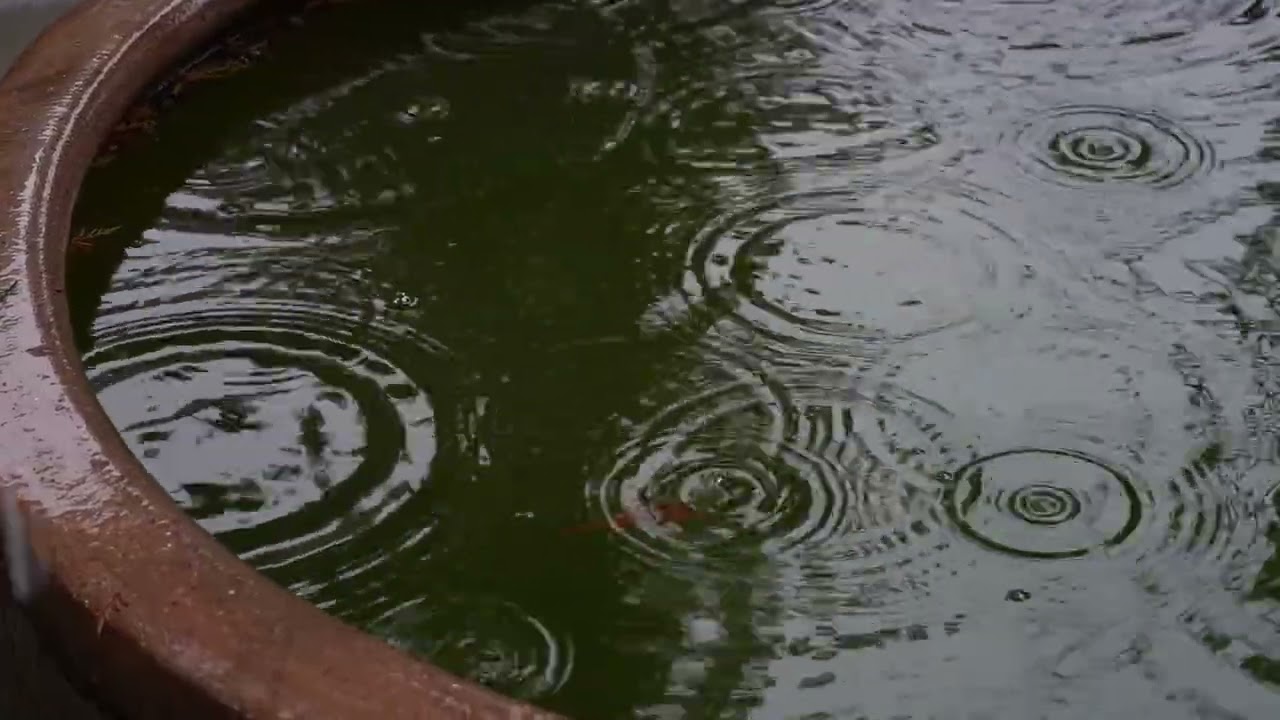 Música para dormir y relajarte con lluvia de fondo