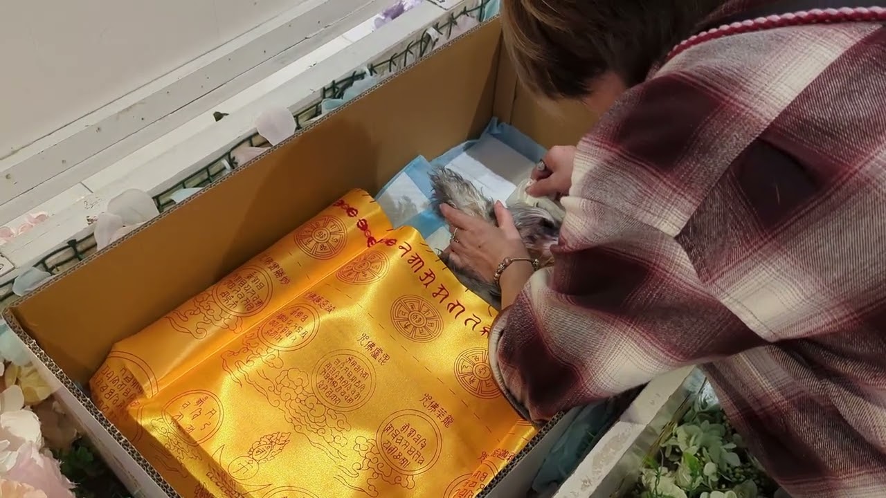 妮可告別式2025.03.11～妮可哭泣