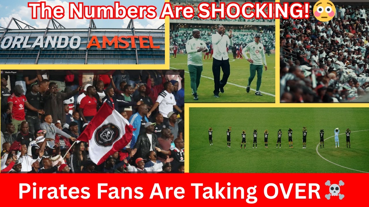 ☠️ Фанаты «Орландо Пиратс» захватывают власть… И цифры ШОКИРУЮЩИЕ!