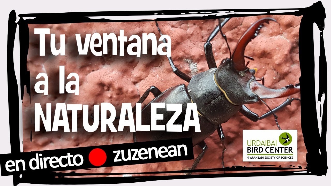 🔴 Programa semanal especial: tu ventana a la naturaleza en directo  | 30-06-2021