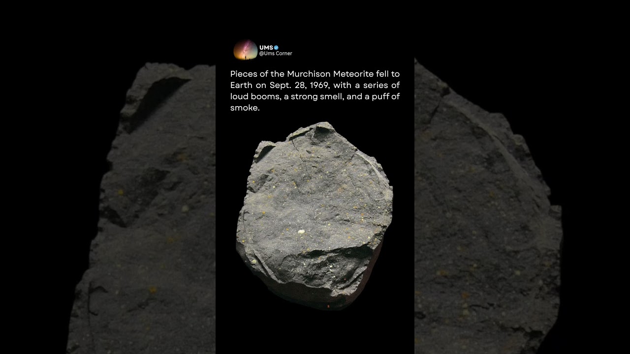 The Meteorite that Shook Australia | Murchison Meteorite
