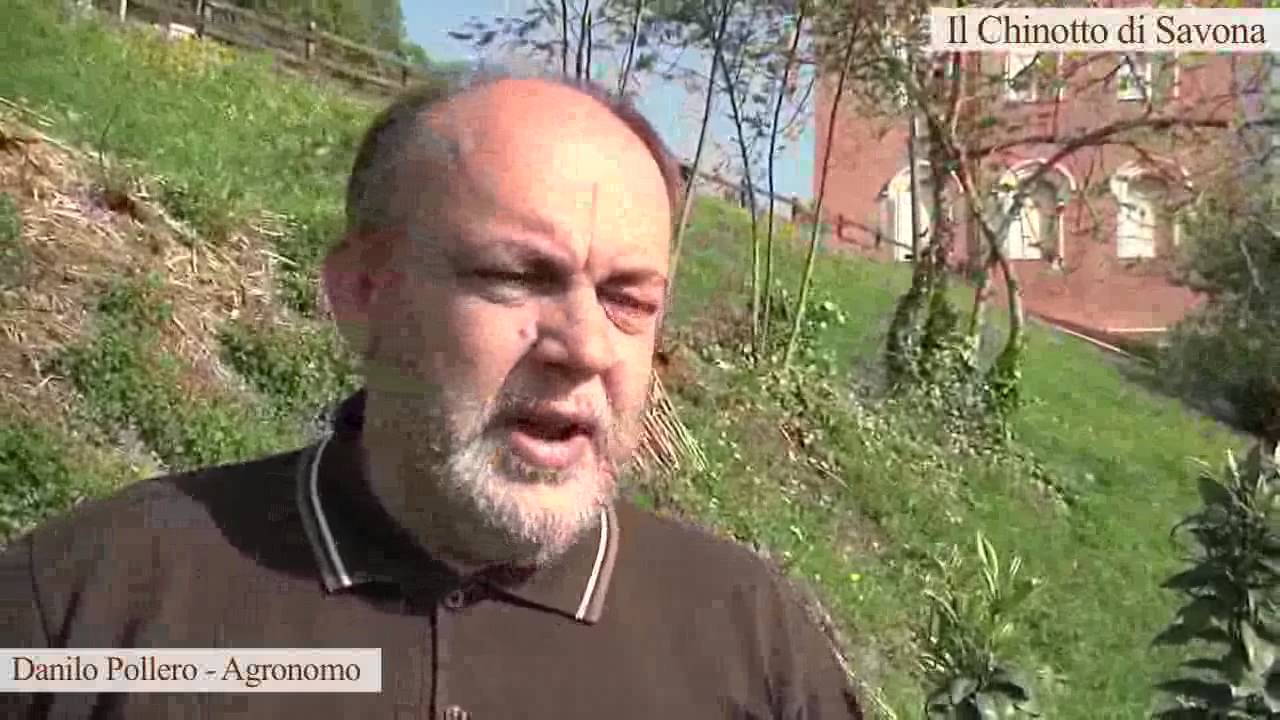 SLOWFOOD - CHINOTTO DI SAVONA.flv