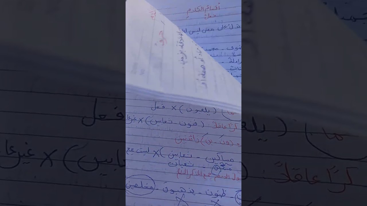٢٣ فبراير ٢٠٢٦