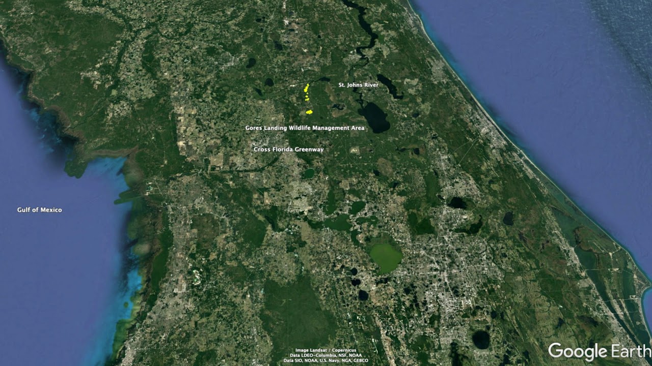 Ocklawaha River Preserve FOR SALE