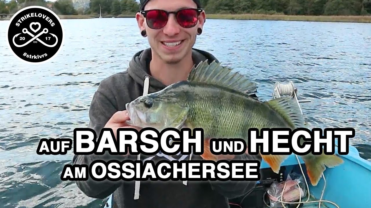 Angeln am Ossiachersee 🎣❤️ auf Barsch und Hecht #strklvrs