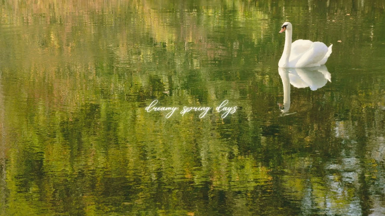 an instrumental for dreamy spring days ☀️✨