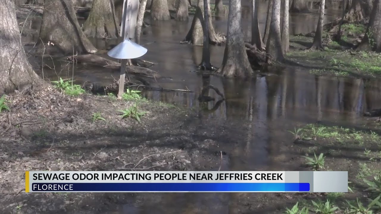 Florence leaders preparing to spend millions on Jeffries Creek sewage problems