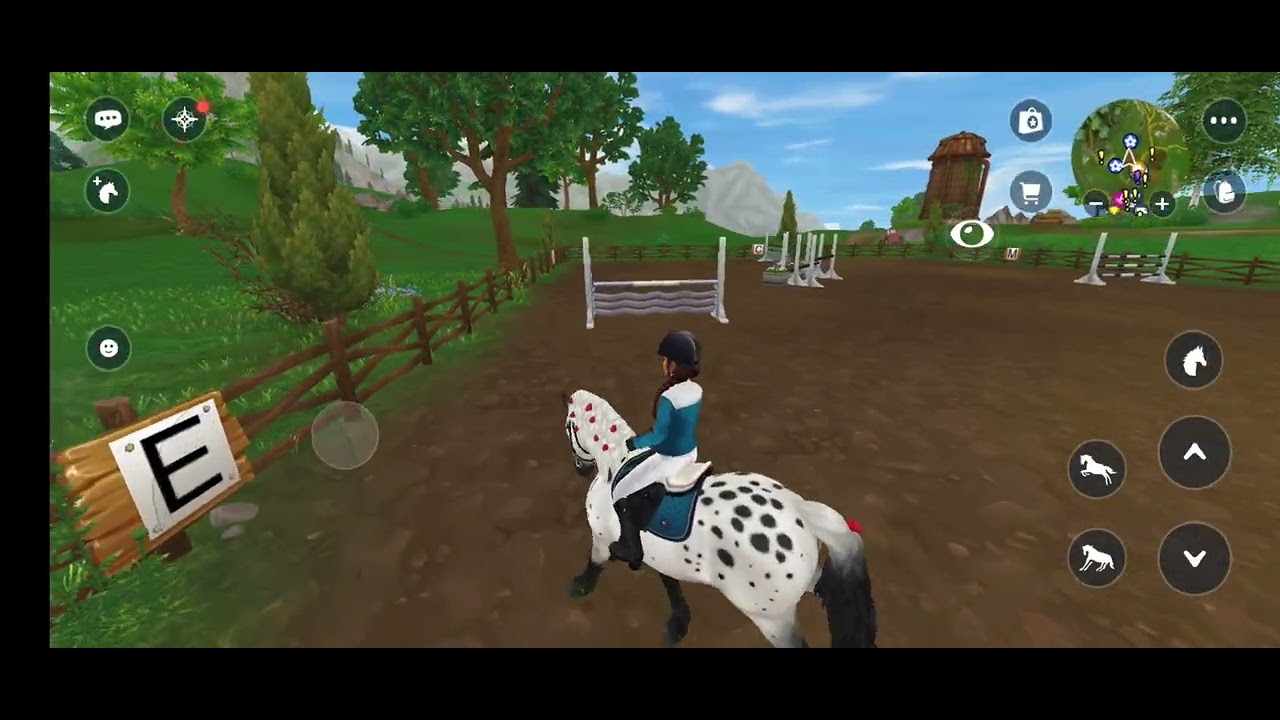 Buying a new horse