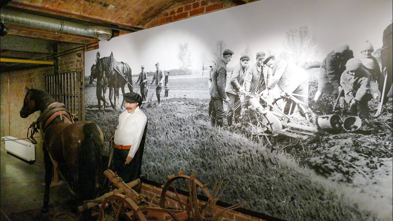 Poznańskie Muzeum Pyry