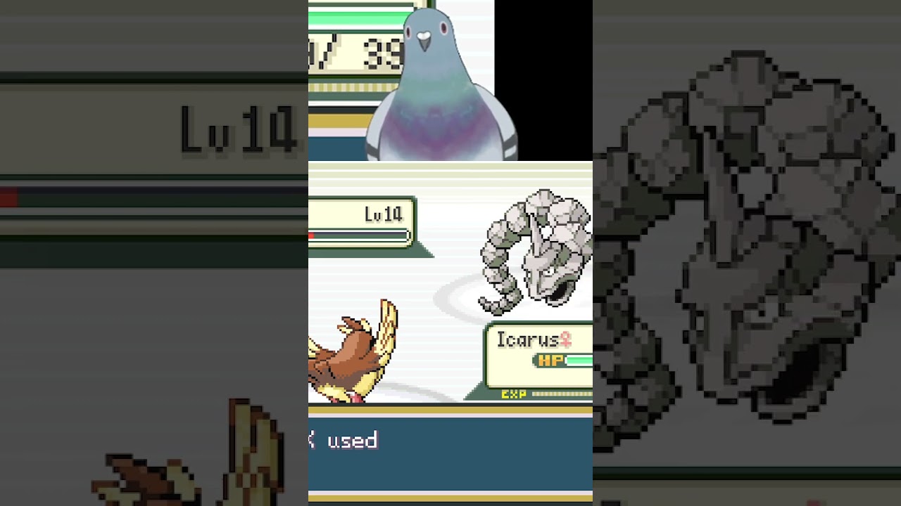 Defeating Brock as a Bird Keeper ----- 