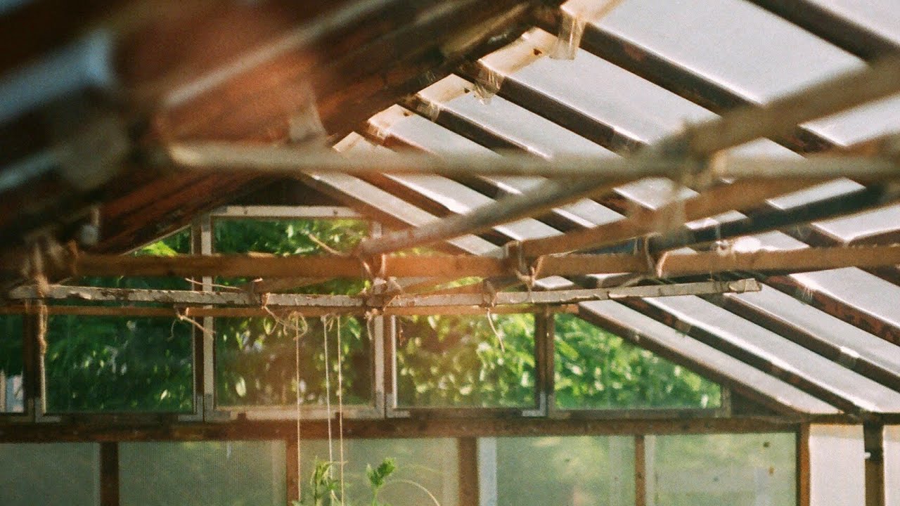 Show Me A Dinosaur - Plantgazer (Full Album, 2020)