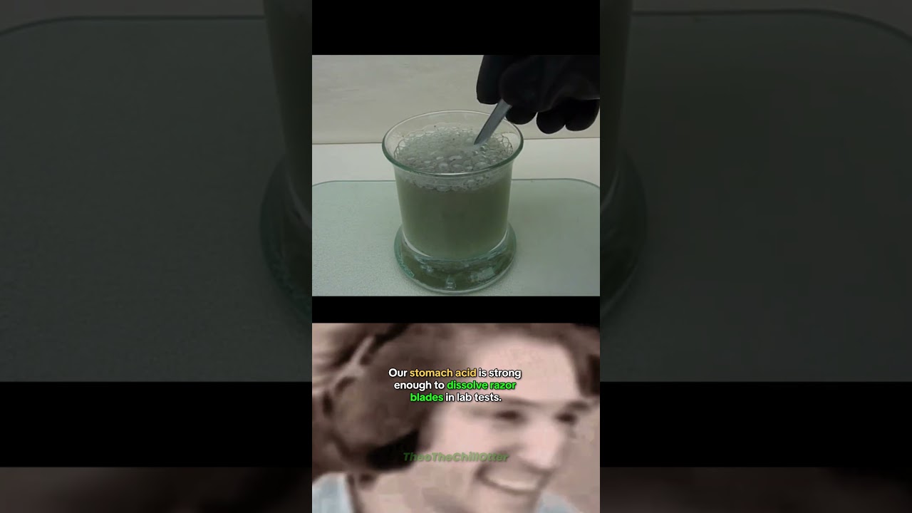 Stomach Acid Experiment