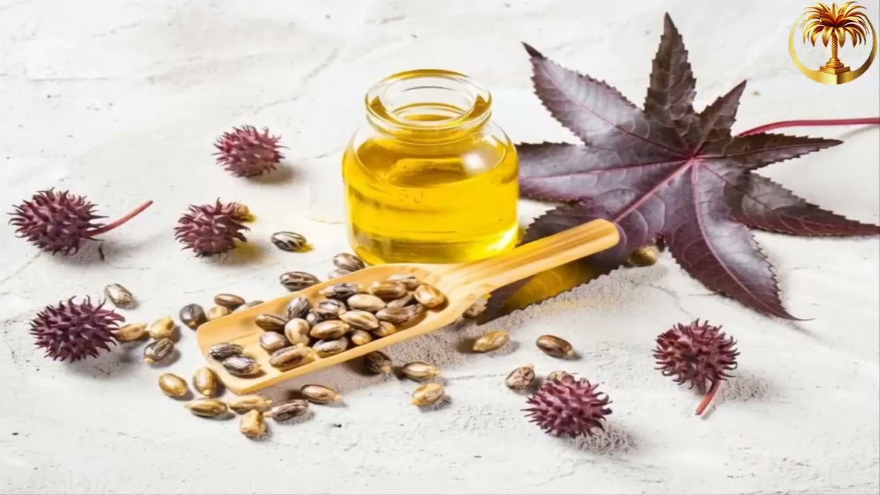 أضرار البردقوش الخطيرة على الحمل والكبد.. توقف فوراً إذا كنت تشربه يومياً!