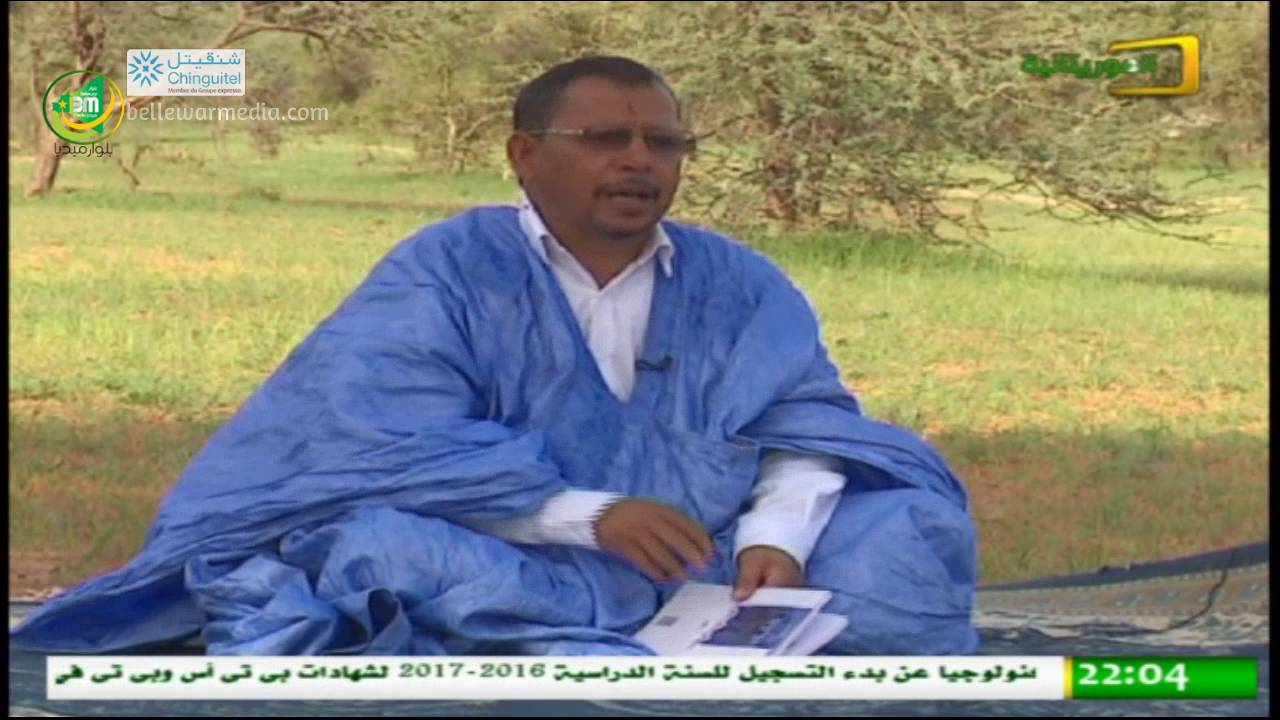حكاية شاعر مع الشاعر الشيخ ولد محمد ولد ببانه (أبو شجة)