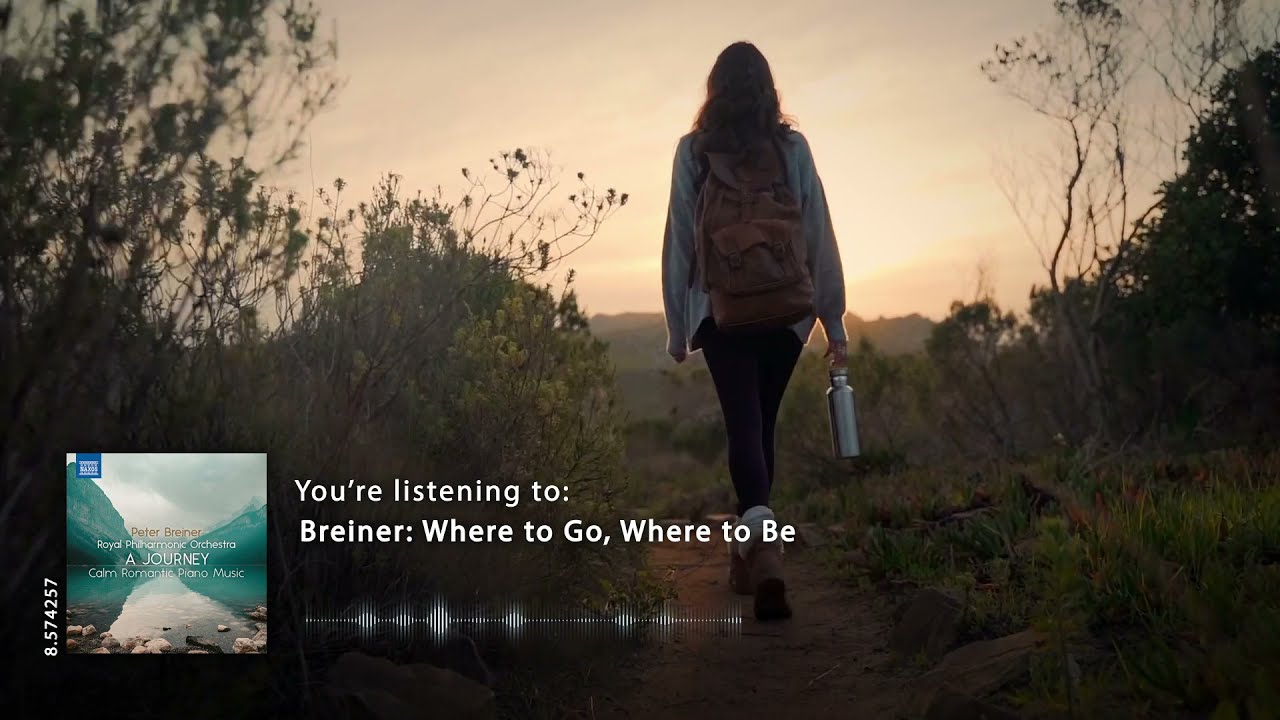 Peter Breiner: Where To Go, Where To Be (music video)